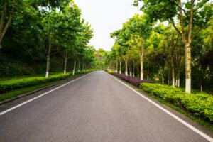 Beautifully landscaped environment with tree-lined avenues and water features.